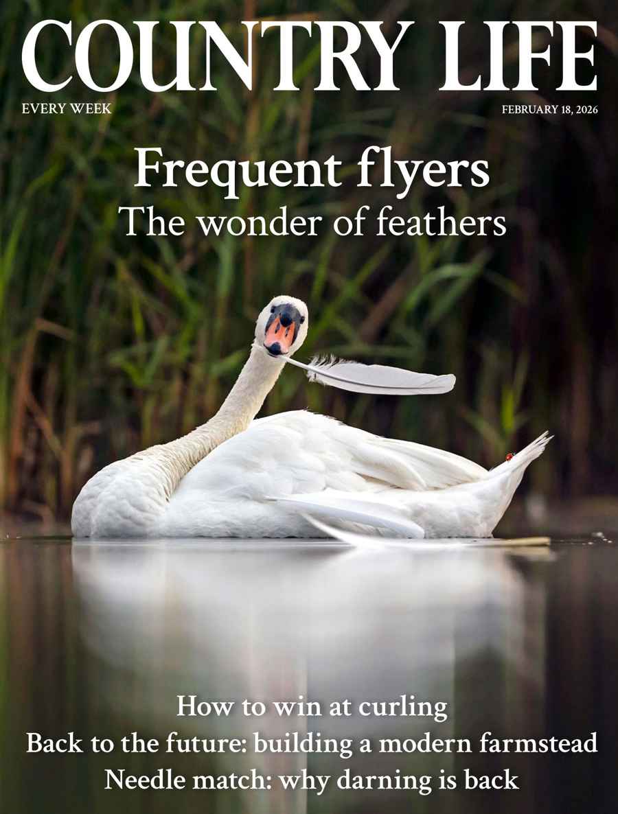 Country Life issue 18th February 2026