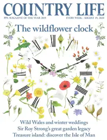 19-Aug-2020 
                issue 19-Aug-2020