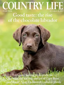 20-Oct-2021 
                issue 20-Oct-2021