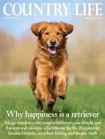 20th April 2022 
                issue 20th April 2022