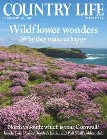 20th February 2019 
                issue 20th February 2019