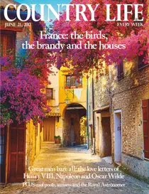 21st June 2017 
                issue 21st June 2017