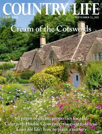 22-Sep-2021 
                issue 22-Sep-2021