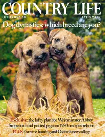 22nd October 2014 
                issue 22nd October 2014