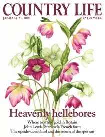 23rd January 2019 
                issue 23rd January 2019