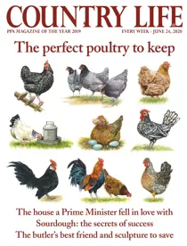 24-Jun-2020 
                issue 24-Jun-2020