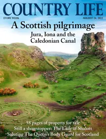 24th August 2022 
                issue 24th August 2022