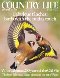 24th January 2018 
                issue 24th January 2018