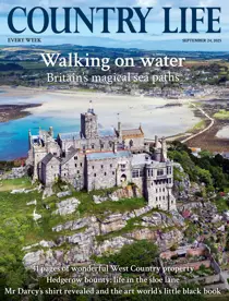 24th September 2025 
                issue 24th September 2025