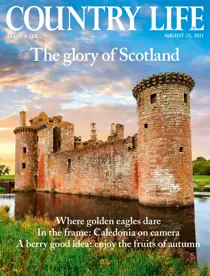 25-Aug-2021 
                issue 25-Aug-2021