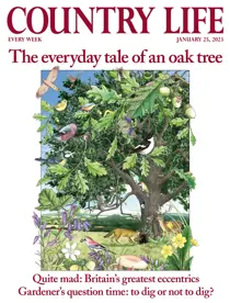 25-Jan-2023 
                issue 25-Jan-2023