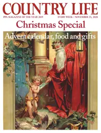 25-Nov-2020 
                issue 25-Nov-2020