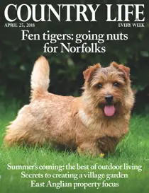 25th April 2018 
                issue 25th April 2018