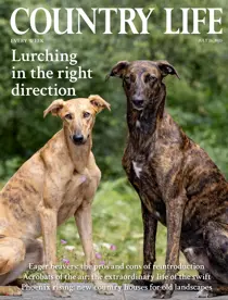 26-Jul-2023 
                issue 26-Jul-2023