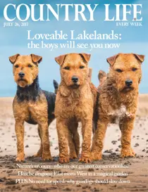 26th July 2017 
                issue 26th July 2017