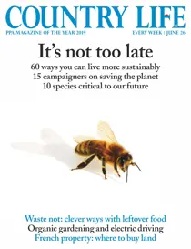 26th June 2019 
                issue 26th June 2019