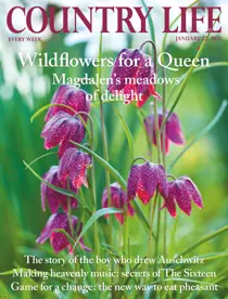 27-Jan-2021 
                issue 27-Jan-2021