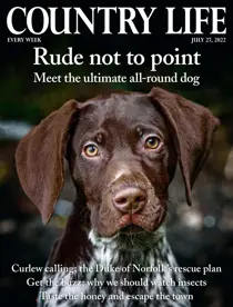 27th July 2022 
                issue 27th July 2022