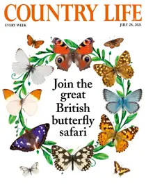 28-Jul-2021 
                issue 28-Jul-2021