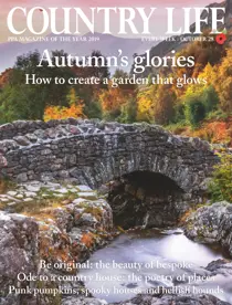 28-Oct-2020 
                issue 28-Oct-2020