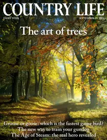 29-Sep-2021 
                issue 29-Sep-2021