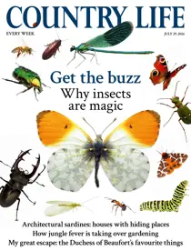 Country Life issue 29th July 2026