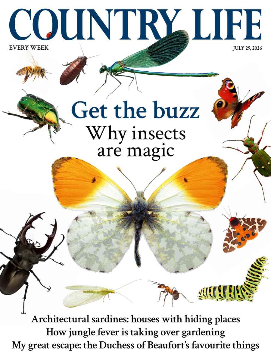Country Life issue 29th July 2026