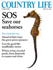 29th June 2022 
                issue 29th June 2022