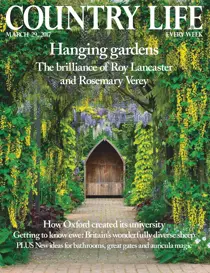 29th March 2017 
                issue 29th March 2017