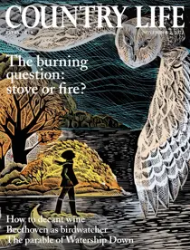 2nd November 2022 
                issue 2nd November 2022