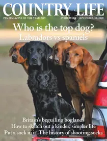 30-Sep-2020 
                issue 30-Sep-2020