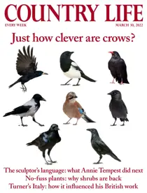 30th March 2022 
                issue 30th March 2022