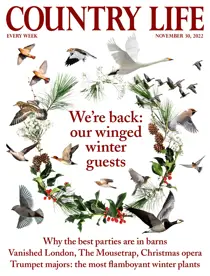 30th November 2022 
                issue 30th November 2022