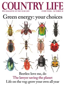 30th October 2019 
                issue 30th October 2019