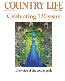 31st May 2017 
                issue 31st May 2017