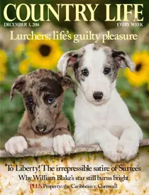 3rd December 2014 
                issue 3rd December 2014