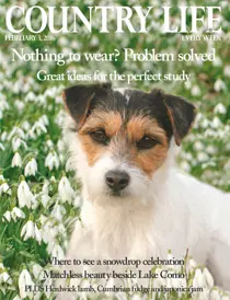 3rd February 2016 
                issue 3rd February 2016