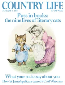 3rd January 2018 
                issue 3rd January 2018