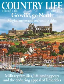 3rd October 2018 
                issue 3rd October 2018