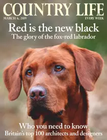 6th March 2019 
                issue 6th March 2019