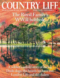 6th November 2019 
                issue 6th November 2019