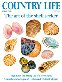 9-Aug-2023 
                issue 9-Aug-2023