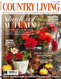 October 2019 
                issue October 2019