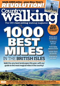 February 2019 
                issue February 2019