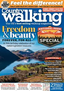 March 2021 
                issue March 2021