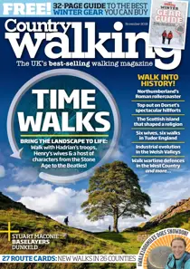 November 2019 
                issue November 2019