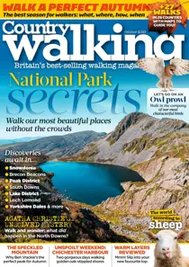 October 2020 
                issue October 2020