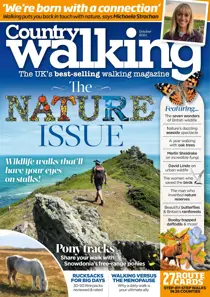 October 2021 
                issue October 2021