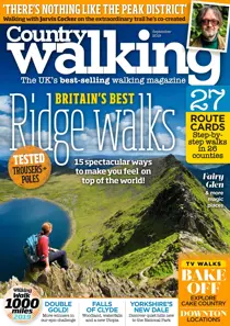 September 2019 
                issue September 2019