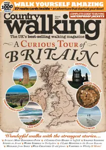 Spring 2021 
                issue Spring 2021